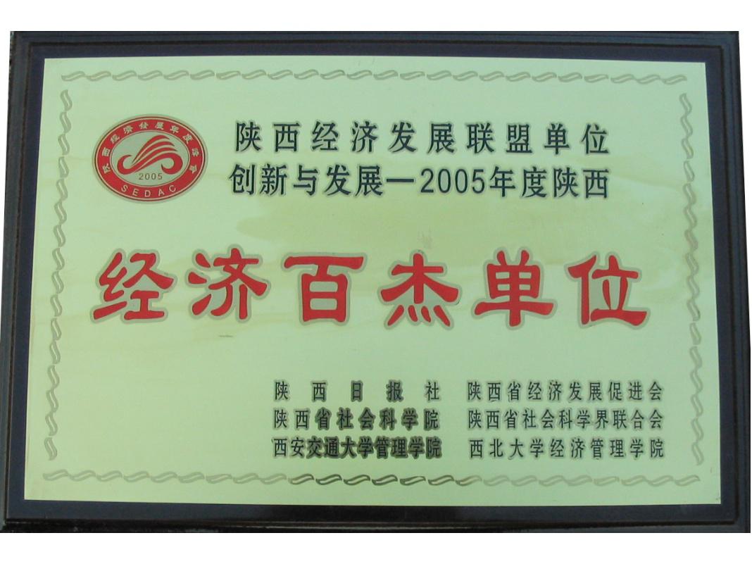 陕西省经济百杰企业