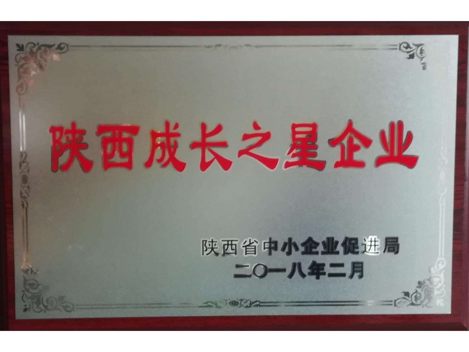 陕西成长之星企业