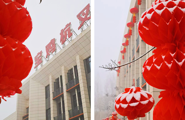 迎瑞雪，新年新貌新气象